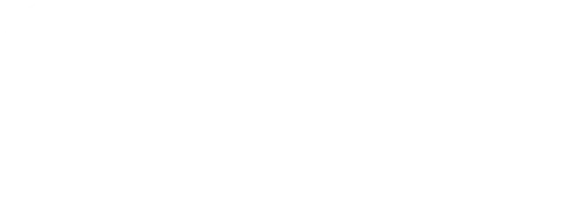 Pornify VIP Logo